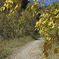 Autumn at Iron Creek