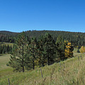 Hay Is In Along the Mick