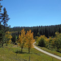Mickelson Trail