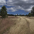 Road Less Traveled